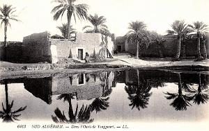 TOUGGOURT - OASIS